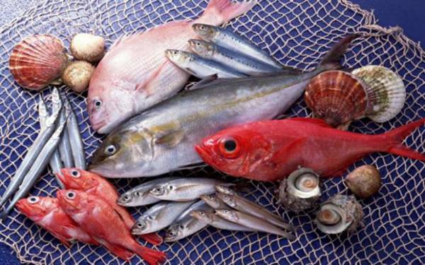 Η κατανάλωση ψαριών μειώνει τους πόνους της ρευματοειδούς αρθρίτιδας