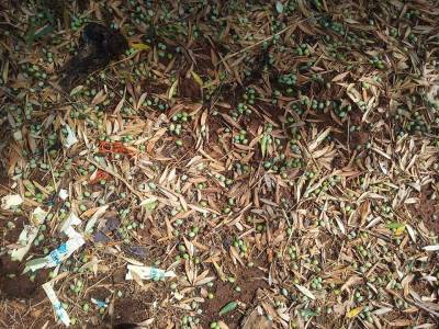 Ζημιές από χαλάζι στην Αγία Κυριακή Φιλιατρών (φωτογραφίες)