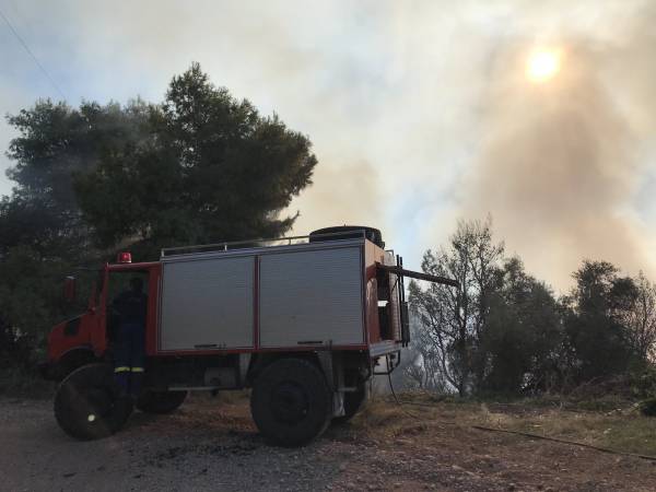 Μεσσηνία: Σε ύφεση η πυρκαγιά στην Ελαία (φωτογραφίες)