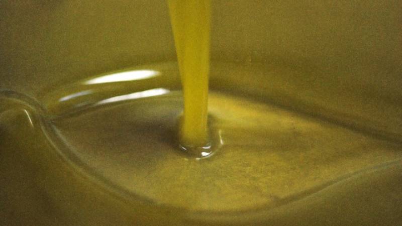 Τηλεοπτικό οδοιπορικό του ΑΠΕ-ΜΠΕ στους δρόμους του λαδιού - Διασχίζοντας την αργολική γη (βίντεο)