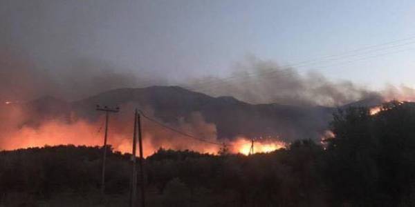 Χωρίς νερό και φαγητό οι πυροσβέστες στις πυρκαγιές σε Μεσσηνία και Λακωνία