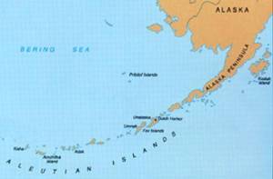 Κίνδυνος τσουνάμι μετά τα 8 Ρίχτερ στην Αλάσκα