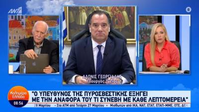 Γεωργιάδης: Η αντιπολίτευση συνασπίστηκε γύρω από τα συμφέροντα για να ρίξει την κυβέρνηση (Βίντεο)