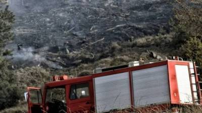 Κορινθία: Συνελήφθη 58χρονος για πυρκαγιά από αμέλεια σε φωτοβολταϊκό πάρκο στο Ξυλόκαστρο