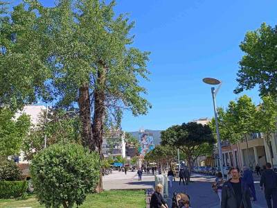 Καλαμάτα: Προαιρετικό κλείσιμο εμπορικών καταστημάτων του Αγίου Πνεύματος