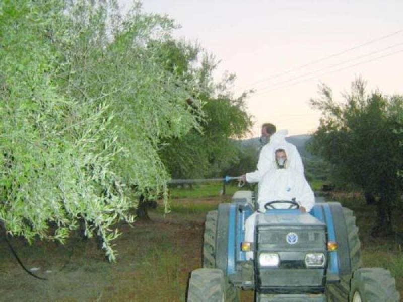 Ο Αγροτικός Σύλλογος Χανδρινού για τη δακοκτονία