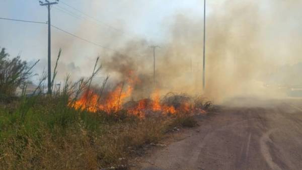 Πολύ υψηλός κίνδυνος για πυρκαγιά το Σάββατο στη Μεσσηνία