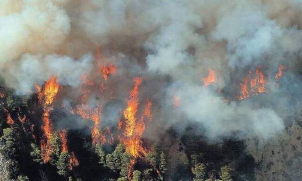 Σύμφωνα με μελέτη: Ένα τρίτο των δασικών πυρκαγιών στη Βόρεια Αμερική προκαλείται από τα ορυκτά καύσιμα