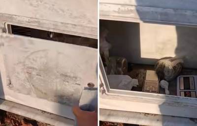 Έκρυβε τα ναρκωτικά σε μνήμα συγγενικού του προσώπου