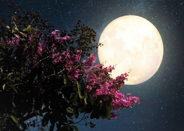 Επιστήμη – Αστρονομία: Το αυγουστιάτικο φεγγάρι, οι οπτικές απάτες και οι μύθοι της Σελήνης