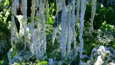 Εκτεταμένος παγετός στα κεντρικά και βόρεια - Καταγράφηκαν θερμοκρασίες έως -12 βαθμούς (βίντεο)