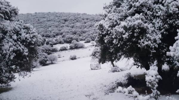Μεσσηνία: Αποκλεισμένα χωριά από τα χιόνια στον π. Δήμο Είρας