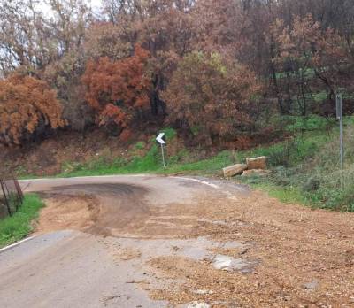 Κανένα αντιπλημμυρικό έργο στην περιοχή: Εγκατάλειψη στις πυρόπληκτες περιοχές του Κρυονερίου Τριφυλίας