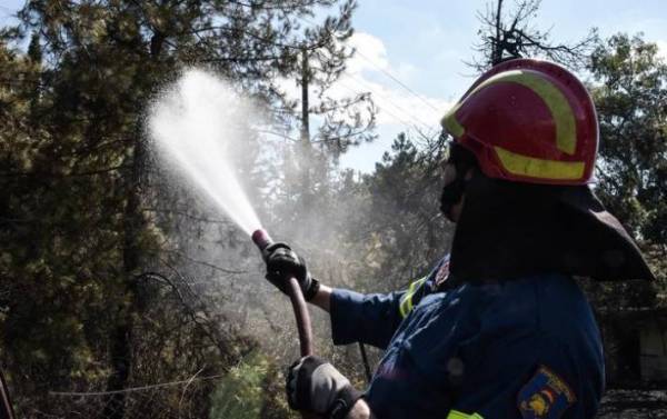 4 εργάτες πυροπροστασίας στο Δήμο Τριφυλίας