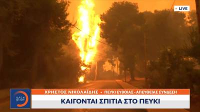 Φωτιά Εύβοια: Στις φλόγες παραδόθηκε το Πευκί (Βίντεο)