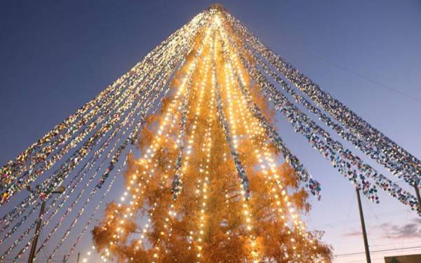 Ιαπωνία: Ρεκόρ Γκίνες με χριστουγεννιάτικο δέντρο με 51.626 κάρτες