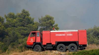 Υπό μερικό έλεγχο η πυρκαγιά σε δασική έκταση στα Μέγαρα
