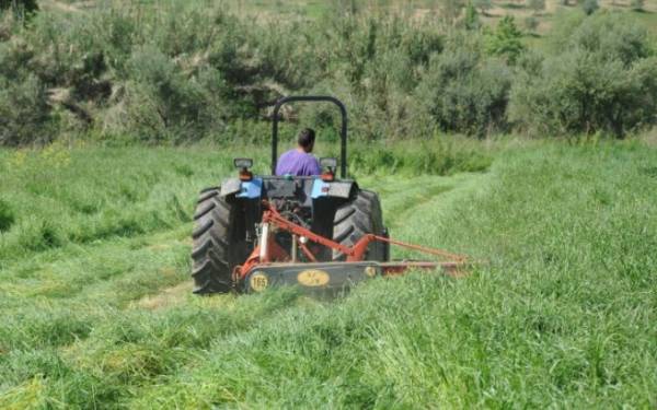 Εύβοια: Αγρότης έπεσε από το τρακτέρ - Ξεψύχησε στο χωράφι του