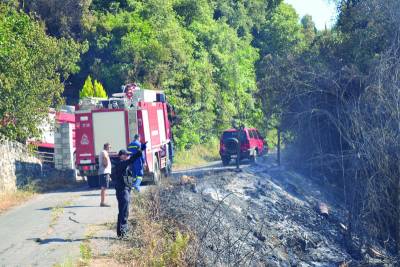 Κάηκαν 15 στρέμματα στην Καλίτσαινα