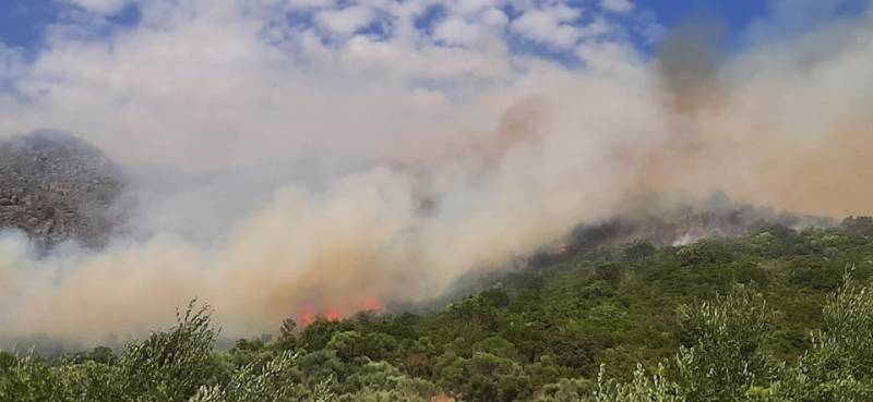 Πυρκαγιά στο Γλυκορρίζι Μεσσηνίας