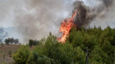 Φωτιά σε δασική έκταση στη Σμέρνα Ζαχάρως