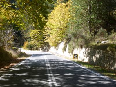 Ο Ταΰγετος δικαιούται φροντίδα και προστασία