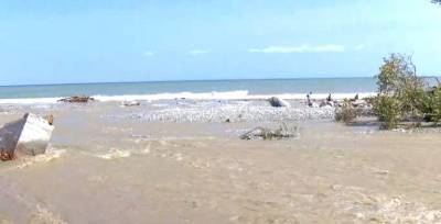 Ανυπολόγιστες καταστροφές στα χωριά του Πηλίου (βίντεο)