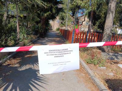 Καλαμάτα: Κουρούνες επιτίθενται σε ανθρώπους στο Πάρκο Λιμενικού! (βίντεο)