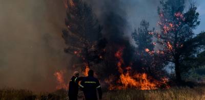 Φωτιά στη Σταμάτα: Μήνυμα από το 112 - «Παραμείνετε σε ετοιμότητα»
