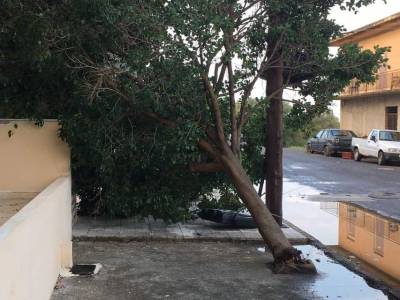 Προβλήματα από νυχτερινό μπουρίνι στην Τριφυλία