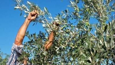 Στους τραπεζικούς λογαριασμούς τα λεφτά της ενίσχυσης αγροτών