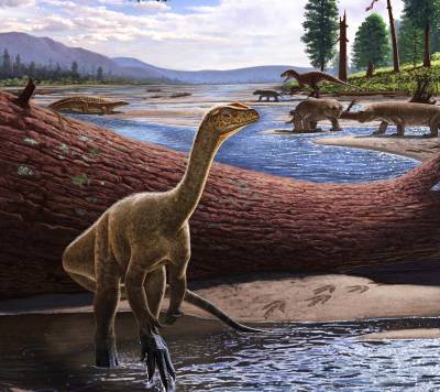 Ανακαλύφθηκε ο Mbiresaurus, ο αρχαιότερος δεινόσαυρος της Αφρικής