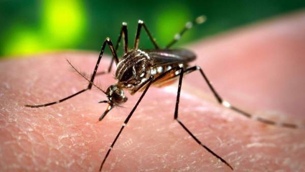 Περιφέρεια Πελοποννήσου: 4,1 εκατ. ευρώ για το έργο καταπολέμησης κουνουπιών