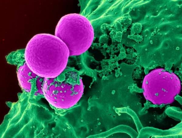 ΠΟΥ: Η πρώτη χρονιά της πανδημίας δημιούργησε «υπερβακτήρια» ανθεκτικά στα αντιβιοτικά