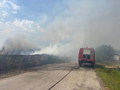 Ασπρόχωμα: 20 στρέμματα με καλάμια έκαψε φωτιά στα Παναγάκια