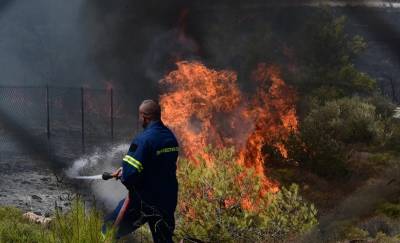 Πυροσβεστική: 53 αγροτοδασικές πυρκαγιές το τελευταίο 24ωρο σε όλη τη χώρα