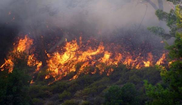 Σε εξέλιξη πυρκαγιά σε δασική έκταση στον Τύρναβο