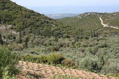 Δασολόγιο: αντιρρήσεις - εξαγορές