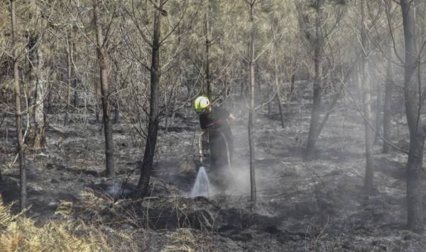 Γαλλία: Κάηκαν 13.000 στρέμματα βλάστησης και δάσους