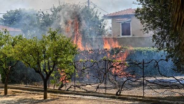 Ολοκληρώθηκε η καταγραφή ζημιών από τις πυρκαγιές σε Αττική και Κορινθία