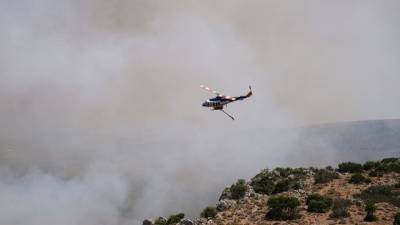 Φωτιά σε δασική έκταση στη Δάφνη Βοιωτίας: Χωρίς ενεργό μέτωπο - Ενισχύθηκαν οι πυροσβεστικές δυνάμεις
