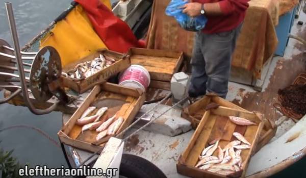 Για ψάρια στο λιμάνι της Καλαμάτας (βίντεο)