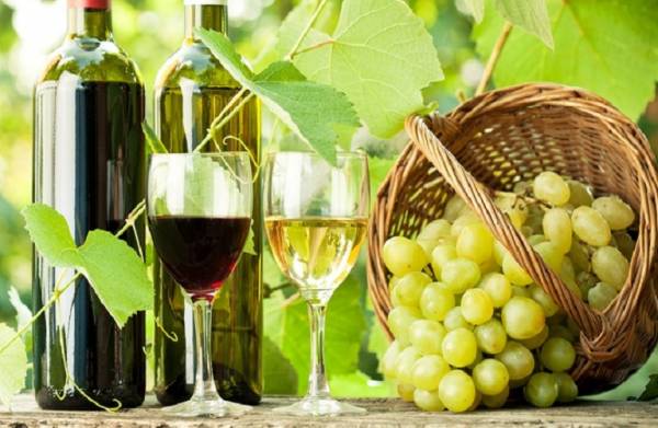 Αισιόδοξες προβλέψεις για την παραγωγή οίνου στην Πελοπόννησο