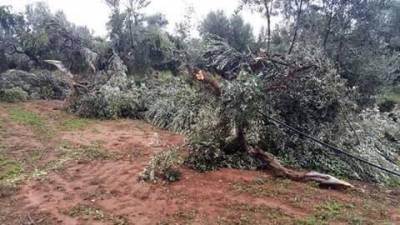 Ανεμοστροβιλος στην περιοχή της Τραγάνας κοντά στην Costa Navarino