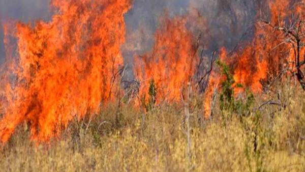 Ηλεία: Οριοθετήθηκε η πυρκαγιά στην περιοχή Μουζάκι