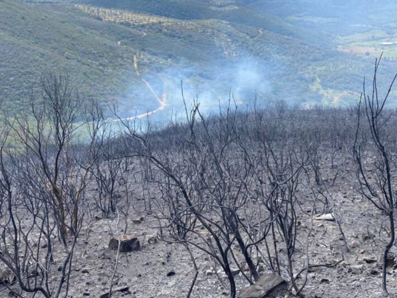 Νωρίς ξεκίνησαν φέτος οι μεγάλες πυρκαγιές - Προειδοποίηση λόγω των ισχυρών ανέμων