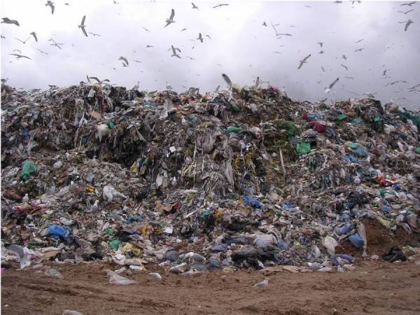 Διαγωνισμός για διετή διαχείριση των σκουπιδιών στο Δήμο Καλαμάτας 