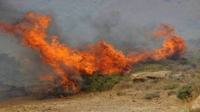 Πυρκαγιά σε δασική έκταση στην Νέα Πέραμο Αττικής