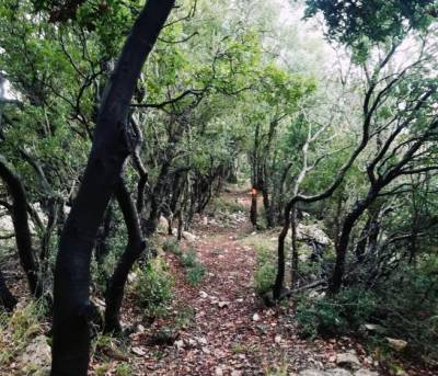 Πεζοπορία του “Ευκλή” στο Μαίναλο