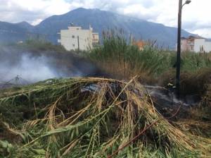 Πυρκαγιά σε καλάμια στην Ανατολική Καλαμάτα